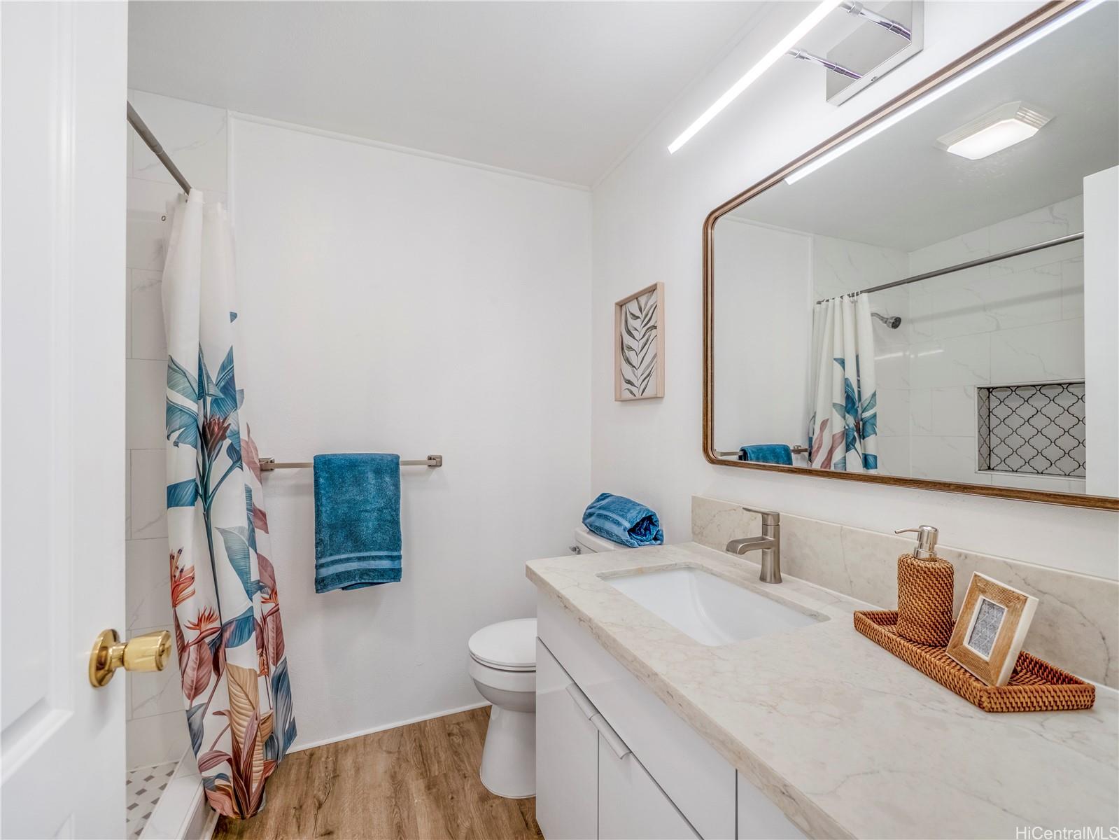 Full bathroom with walk-in shower and modern vanity