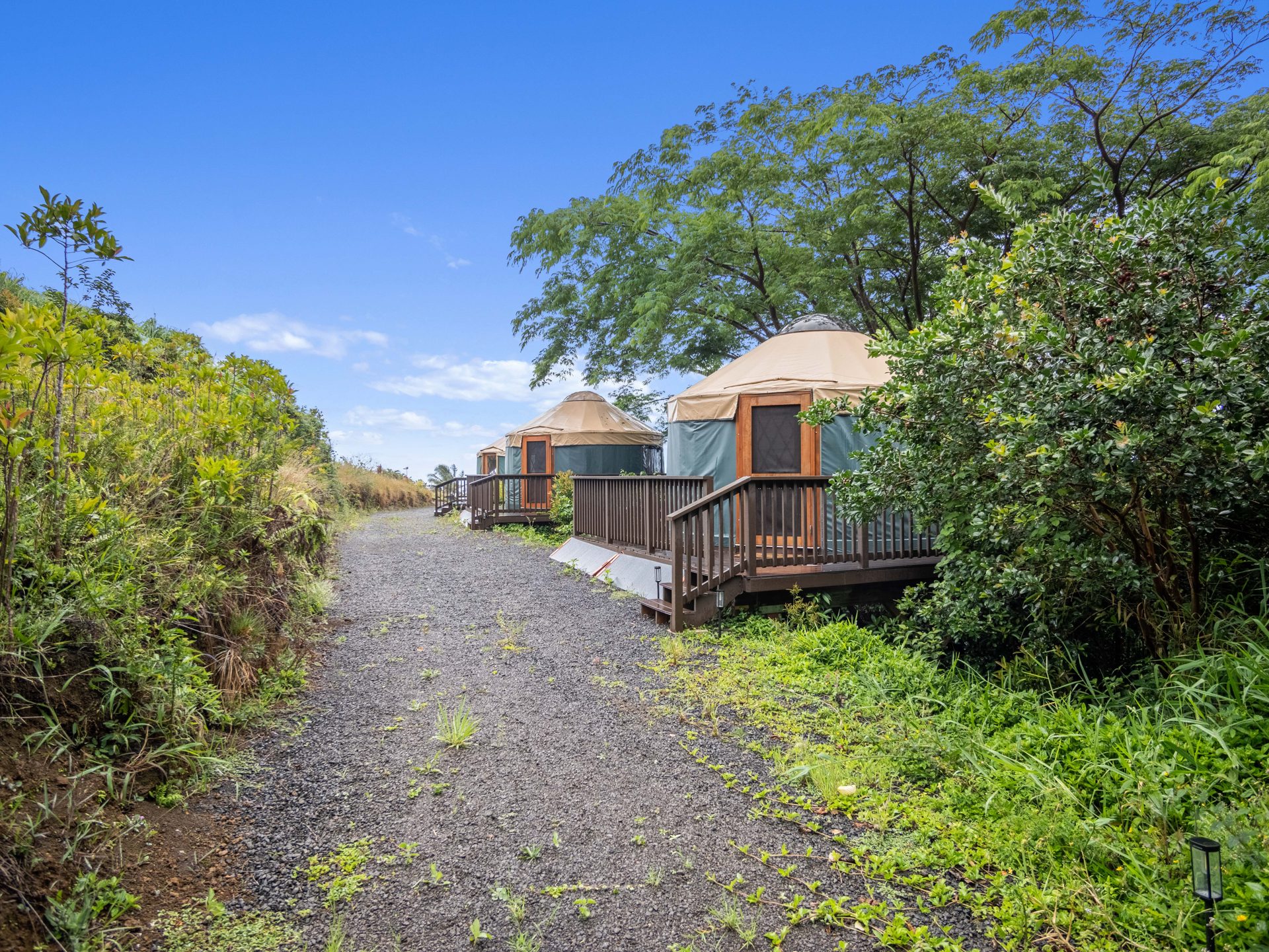 Yurts on the deck, seen from the road